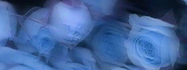 ランタナさんの壁紙画像