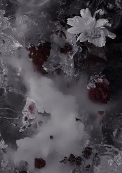 # 嘘 泣 き し た ら な ぜ か 好 か れ た 件 .