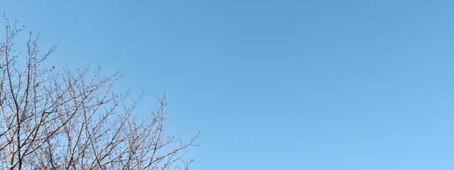 ʀɪᴋᴏ🐿さんの壁紙画像