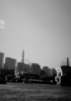  墓 友