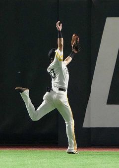 言えない約束