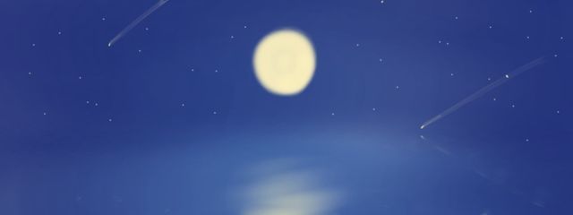 ⊂・ー・つさんの壁紙画像