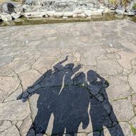 ざらめさんのアイコン画像