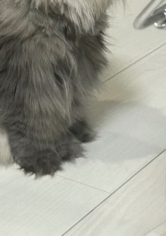 Tag 【常時開設中】