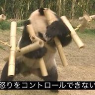 かのちさんのアイコン画像