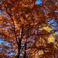 RARA🫧さんのアイコン画像