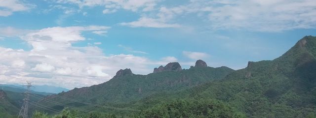 ●～*向葵さんの壁紙画像