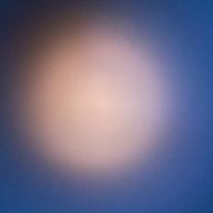 ●～*向葵さんのアイコン画像