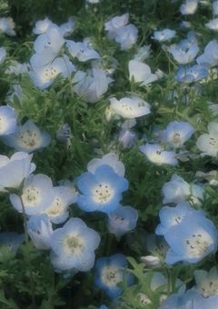 そっくりちゃん