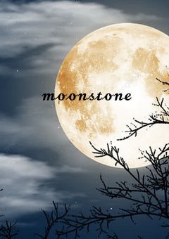 ムーンの配信部屋!🫧✨🖤