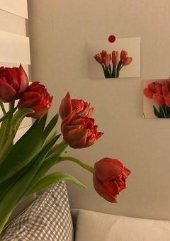 　愛されすぎな茈くん