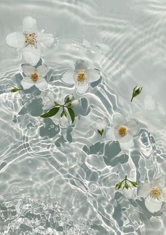 ほわいとちょこれーと。