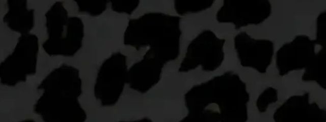 MONACAさんの壁紙画像