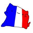 フランス猫