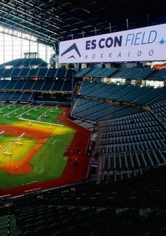 北のカンガルー少しアホっぽいですが好かれています