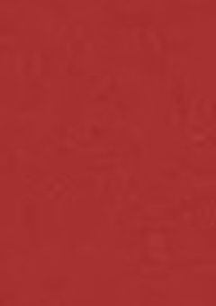 「　君と会えた奇跡　」