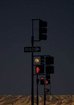 『孤児社会復帰企画』／mtor