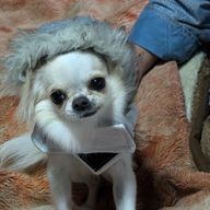 稜線さん@病み期復活しました＃どこぞのみかんを拾いに行きますさんのアイコン画像