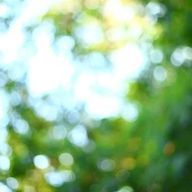 みさんのアイコン画像