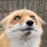 みkさんのアイコン画像