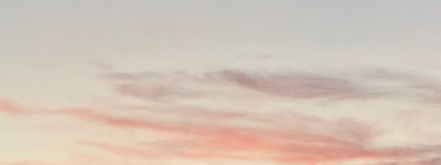 メガめっちゃラテさんの壁紙画像