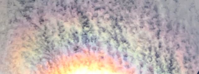 地球さん!♯アニマルハーデットさんの壁紙画像