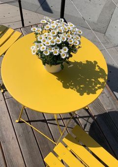 　モ ミ ザ ．　【 黄 】