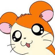 ※ 何処かの無かれ 氏 .さんのアイコン画像