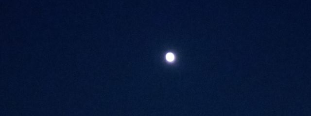 Gostさんの壁紙画像