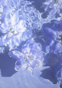 　💫返　︴　おはなし　.