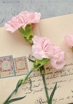 拝啓、神を望んだ世界へ___。