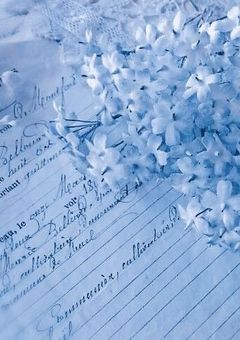 　GTA⌇﻿元 NPC  、愛されます　￤　kne