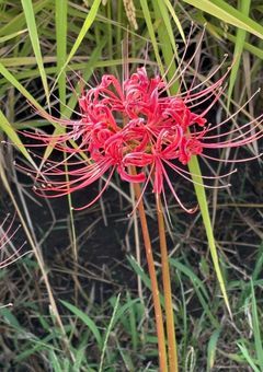 瀧のなんか喋るとこ。　相談とか愚痴にものってちょ🥺