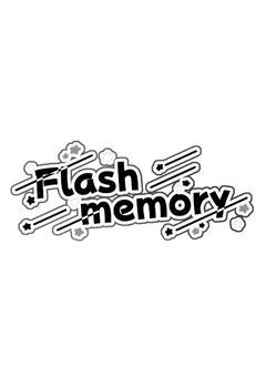 Flash Memory