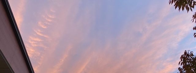 シャーベット🫧さんの壁紙画像