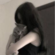   な ぎㅤｻ ﾝㅤ㌨ さんのアイコン画像