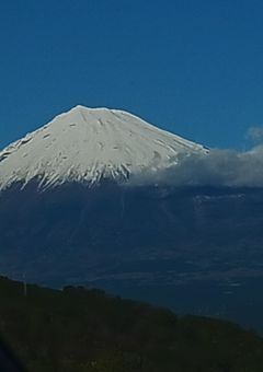 通知だョ！全員集合