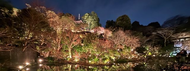 翡翠さんの壁紙画像
