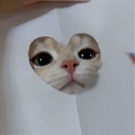 noonさんのアイコン画像
