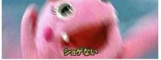 もちさんの壁紙画像