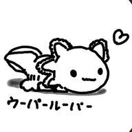 らあら @ある方とペア画nowさんのアイコン画像