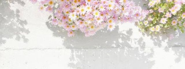 琴乃 @ 不定期更新さんの壁紙画像