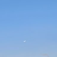 麗良(U-RA)さんのアイコン画像