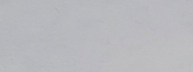 こんさんの壁紙画像