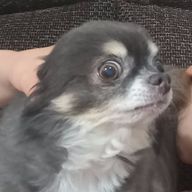 暁夜さんのアイコン画像