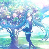 天比乃 姫鏡さんのアイコン画像