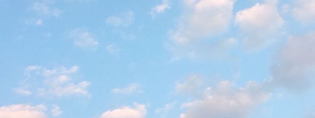 海月さんの壁紙画像