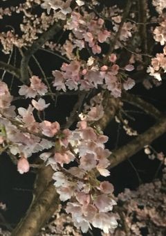 陰キャ(主)と陽キャの茶番