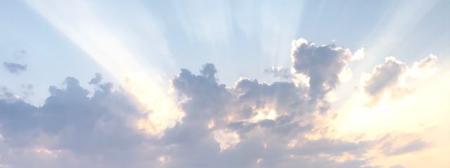 ライラさんの壁紙画像