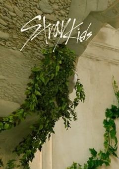 今日、好きになりました。～スキズ編～